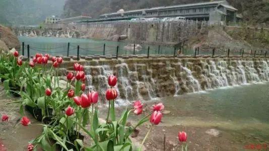 绝地求生坦克版2