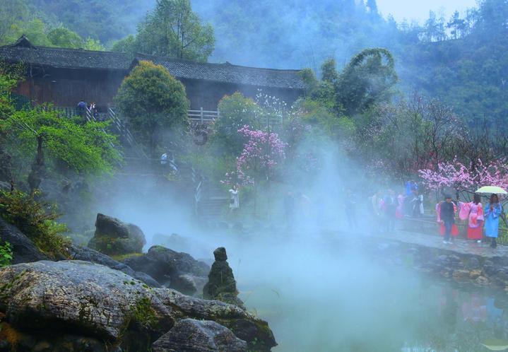 逃离野鸡森林